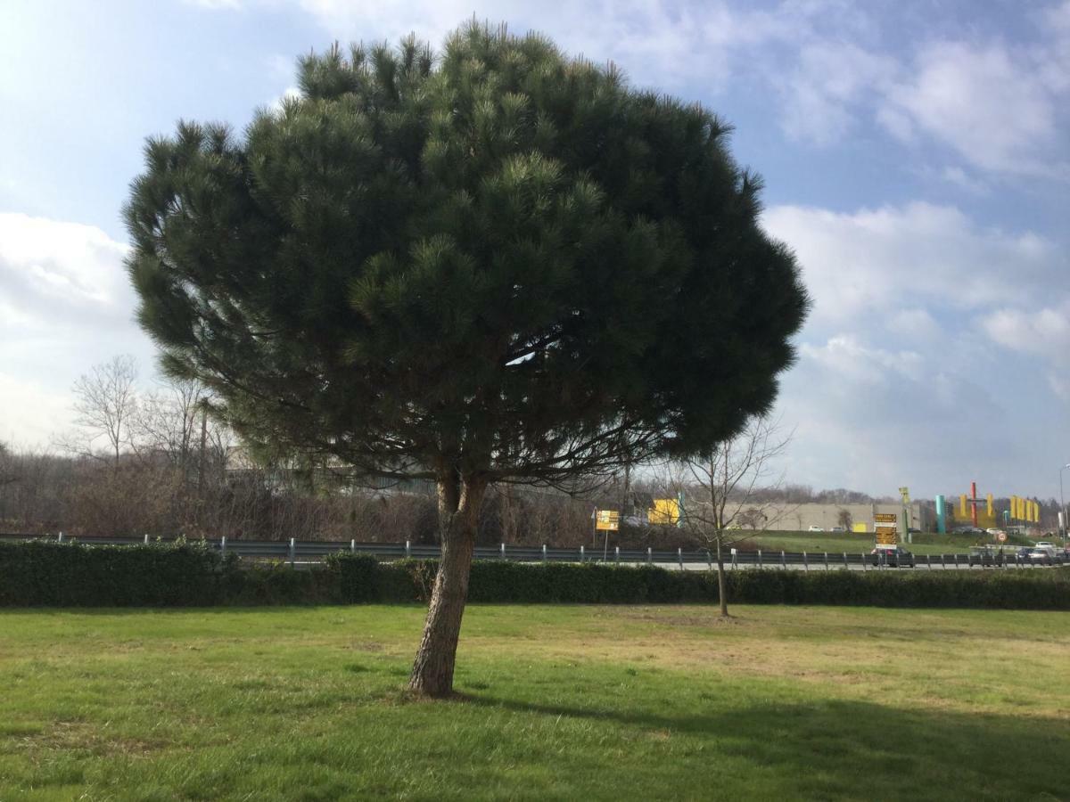 La Casetta Pombia Εξωτερικό φωτογραφία